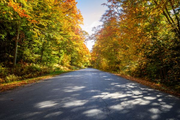 Cost of Blacktop Replacement in Modesto